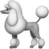 poodle